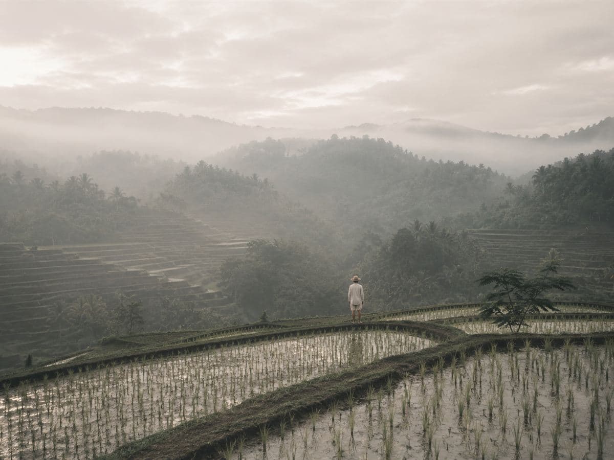 Java Heritage