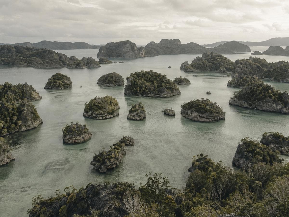 Raja Ampat Private Expedition