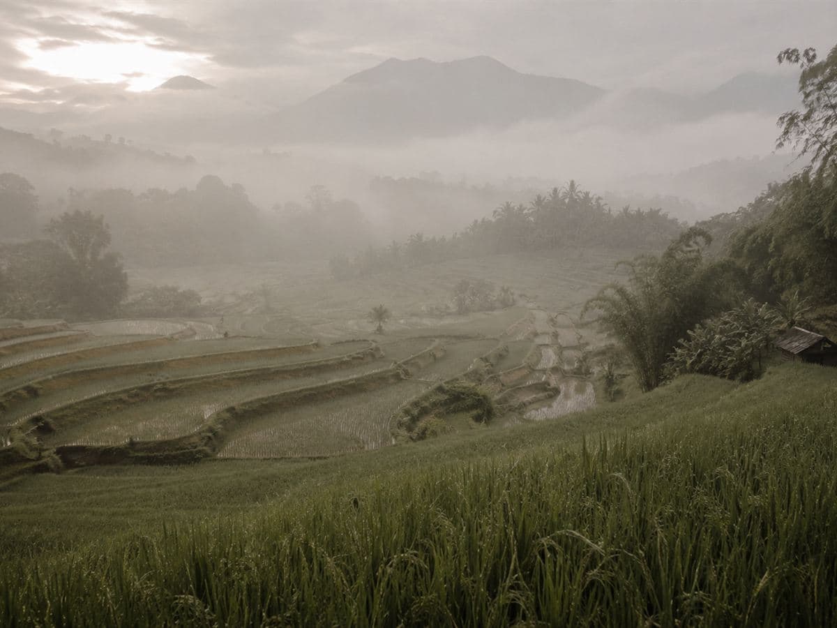 Ubud & The East